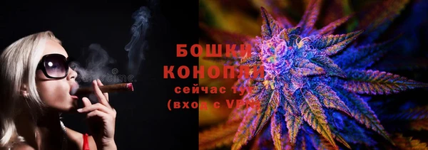 шишки Сатка