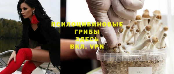 шишки Сатка