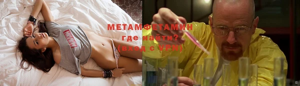 шишки Сатка
