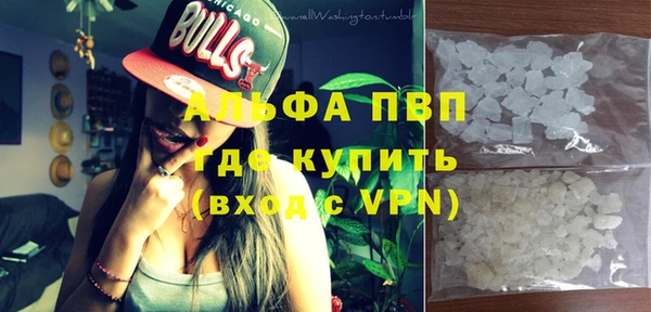 шишки Сатка