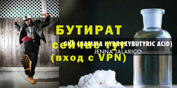 шишки Сатка
