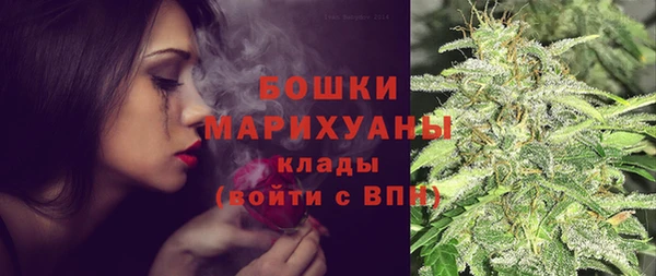 шишки Сатка
