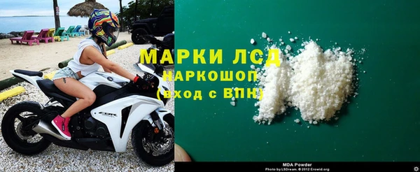 шишки Сатка