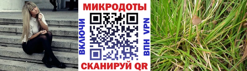Галлюциногенные грибы мухоморы Кириллов